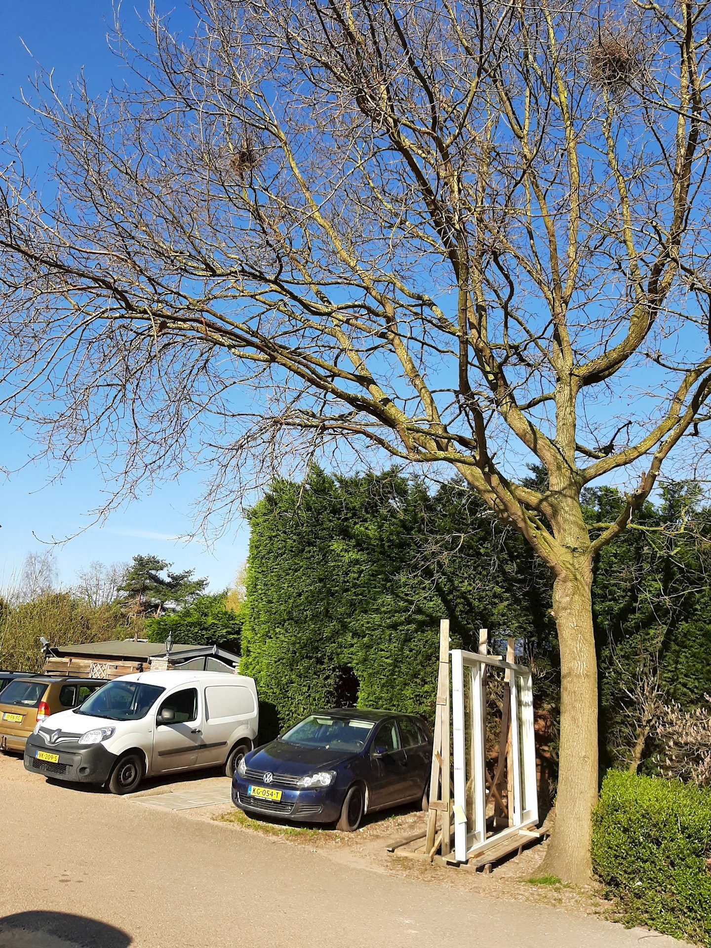 Projecten Op Vakantiepark In Haarlem Over Sloot En Chalet Heen Voor De Firma BMN Amsterdam2